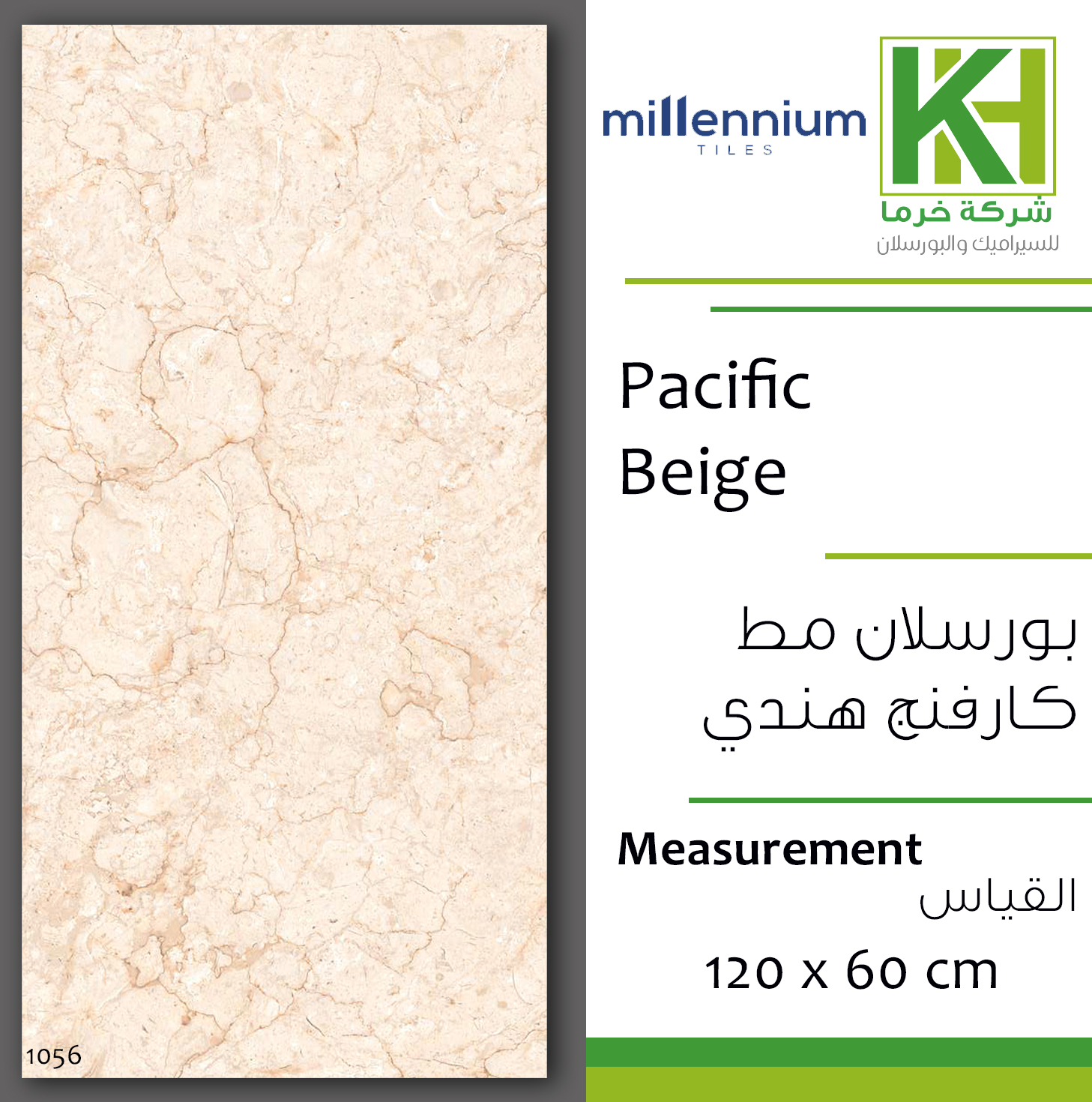 Picture of Indian matt carving porcelain tile 60x120 cm Pacific Beige